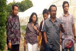 Bupati Tengok Pekerja Asal Karangasem Di Hibaraki