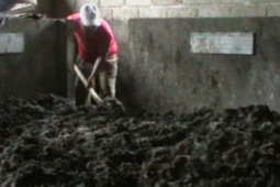 PROSES FERMENTASI