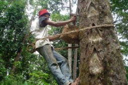 Debat Kandidat Calon Bupati Lampung Barat