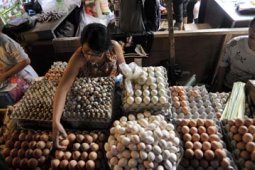 KENAIKAN HARGA SEMBAKO