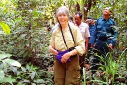 Peneliti Asing Orangutan