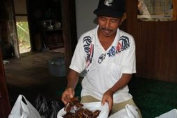 TING-TING JAHE BERKHASIAT