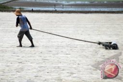 Indonesia sejak 1990 sudah impor garam