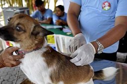 HARI RABIES SEDUNIA