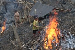 PERSIAPKAN LAHAN TANAM