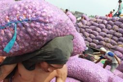 PERMINTAAN KALSELTENG