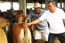 SELEKSI TERNAK UNGGUL