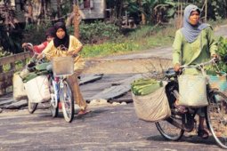PENJUAL DAUN PISANG