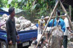 HARGA KARET MEMBAIK