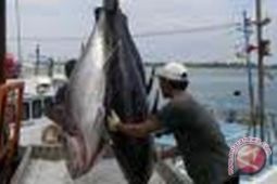 DPR RI : Perikanan Sulut Belum Over Fishing