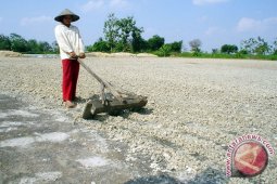 Karena ampas singkong, warga Mesuji protes
