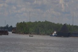 DIKEPUNG TONGKANG