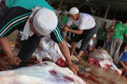 BAGIKAN 6000 PAKET