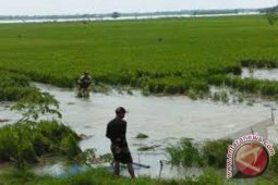 Petani desak bongkar bangunan ganggu irigasi