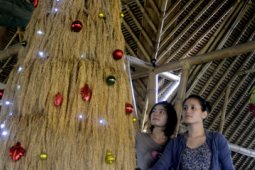 POHON NATAL PADI
