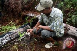 Anggota DPD desak penuntasan tapal batas