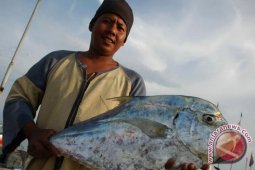 Andil sektor perikanan dalam antisipasi krisis pangan