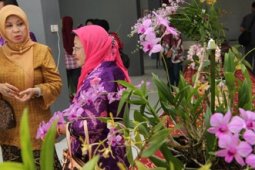 MERATUS ORCHID SHOW 2011