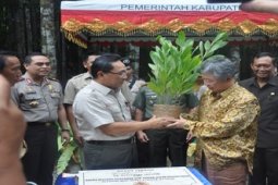 MENHUT SERAHKAN BIBIT AKASIA