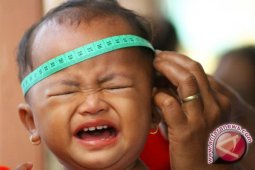 Kota Bengkulu revitalisasi posyandu