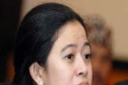 Puan Maharani Masih Miskin Pengalaman