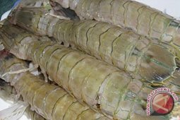 Harga udang Indonesia melambung