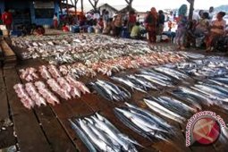 Ikan Beledang Mukomuko dipasarkan ke Sumbar