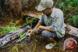 Warga tolak pembagian wilayah perbatasan Bengkulu-Sumbar