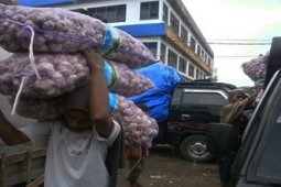 BAWANG PUTIH MURAH