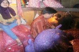 PASOKAN BAWANG LANCAR