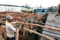 PERBAIKAN PELABUHAN IKAN