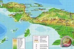 Merajut damai di tanah Papua