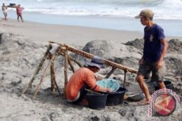 Eks tambang emas PT BTM dijadikan peti