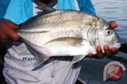 Lampung Barat Target Produksi 72 Ton Ikan