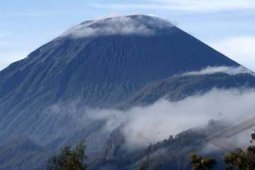 JALUR PENDAKIAN DITUTUP