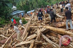 Ketika sungai keruh dan hutan bergemuruh