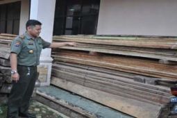 BARBUK KAYU ILEGAL