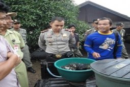 RAZIA ANAK IKAN