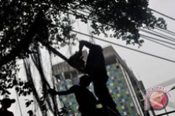 PLN Imbau Masyarakat  Pangkas Pohon