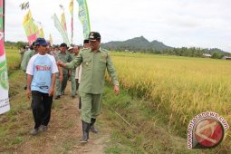 Petani Kukar Resah Dengan Maraknya Aktivitas Pertambangan