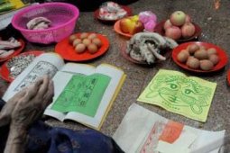 TOLAK BALA MACAN PUTIH