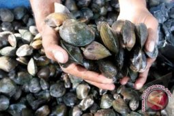 Mukomuko pertahankan kuliner warisan turun-temurun