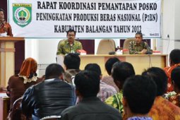 PENINGKATAN PRODUKSI BERAS