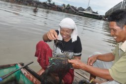 UMPAN UDANG