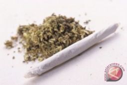 Nenek ini tertangkap jual ganja