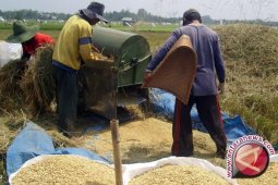 Pemerintah dirikan lumbung di daerah
