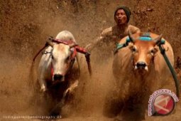 Warga Kerinci sabet penghargaan foto internasional