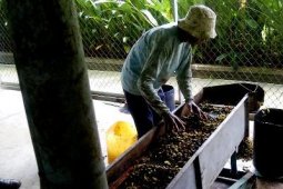 Teknologi Pengolahan Biji Jarak ATMI Diminati Tanzania
