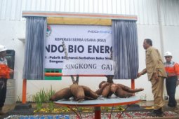 Pabrik Bioetanol Berbahan Baku Singkong