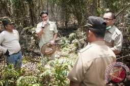 Zumi Zola Tinjau Kebakaran Lahan